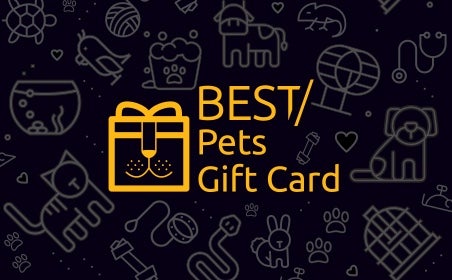 Best Pets